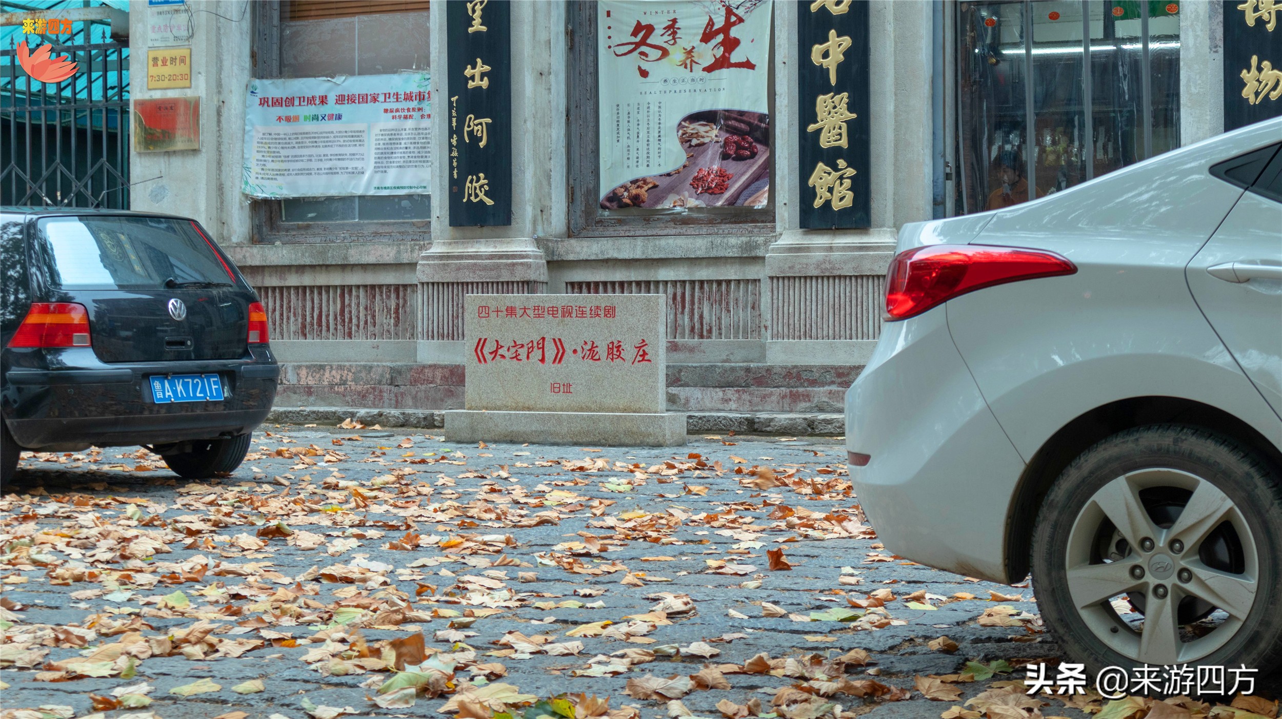 济南中山公园赏花,济南公园赏秋叶