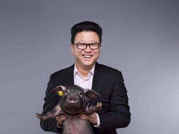 阿里收购网易考拉现状,阿里收购网易考拉怎么回事