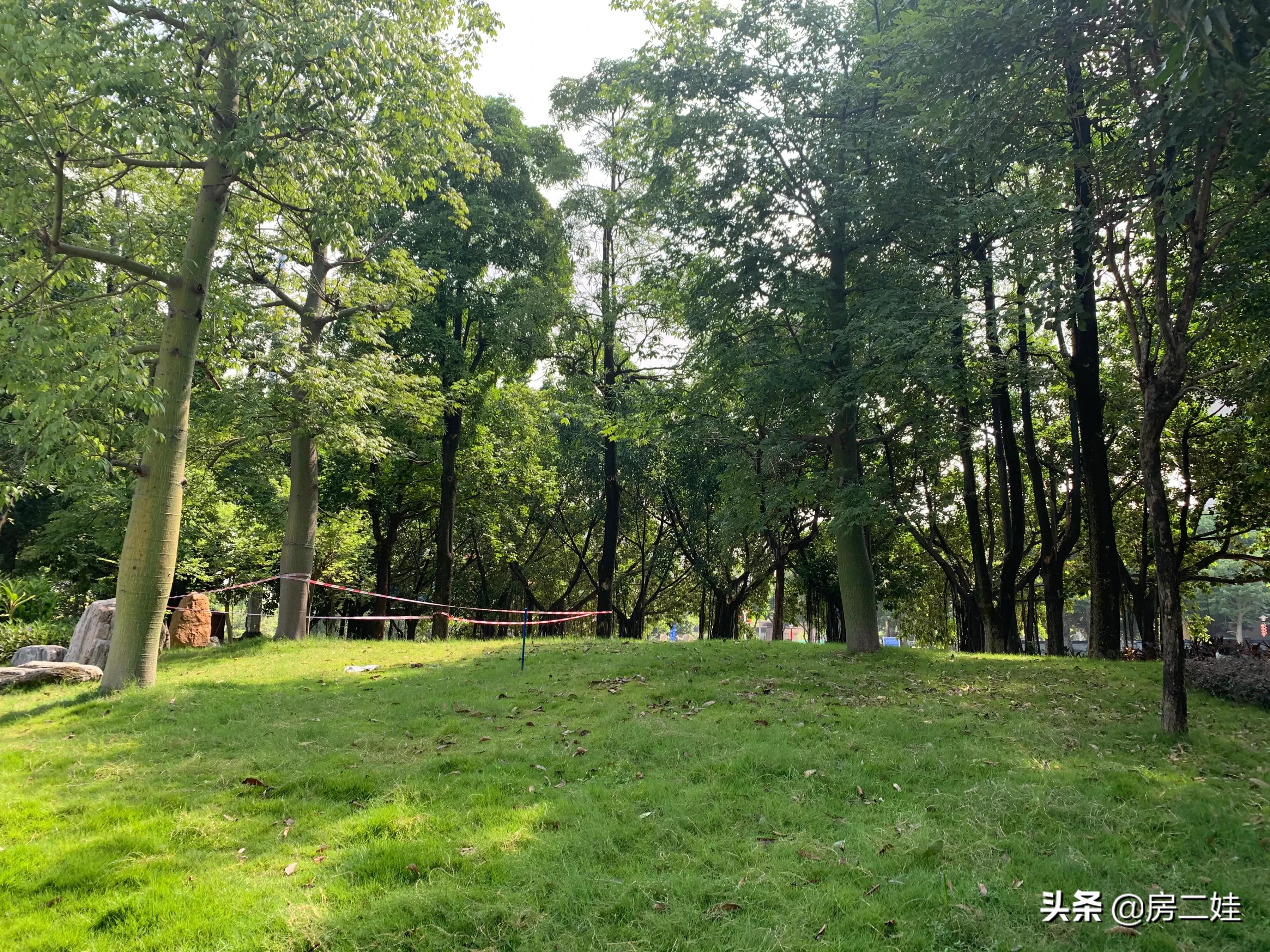 二娃短评,二娃最新点评视频