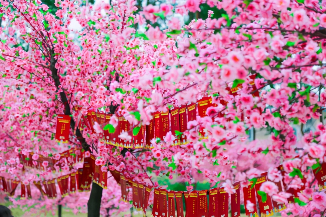 广州周边游一日游刺激,广州周边特价游
