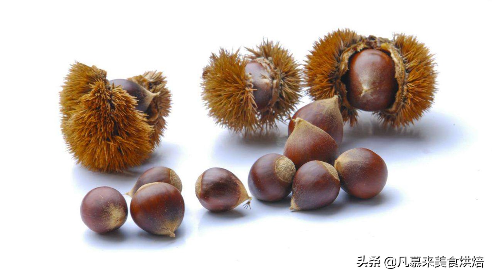 每日坚果八种营养坚果搭配,坚果类大全