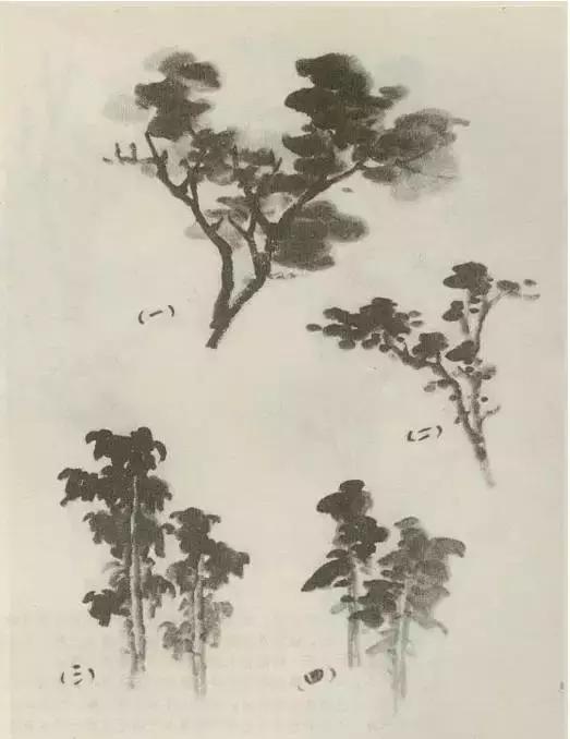 缠枝、挺杆、屈节、钮裂、一棵树如何画？看了这篇你绝对能学会