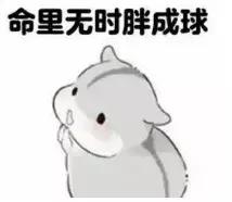 杨幂吴昕礼服图片,杨幂与吴昕穿同款连衣裙