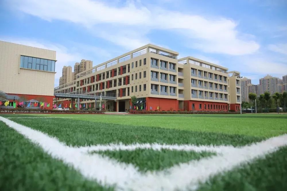 合肥开学最新通知小学,合肥有哪些新开学校