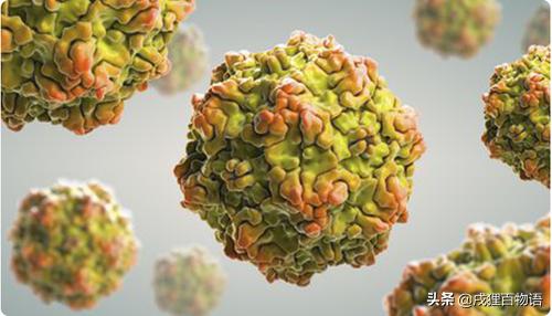 狗狗得细小是什么原因导致的,狗狗细小病用什么方法治疗最快