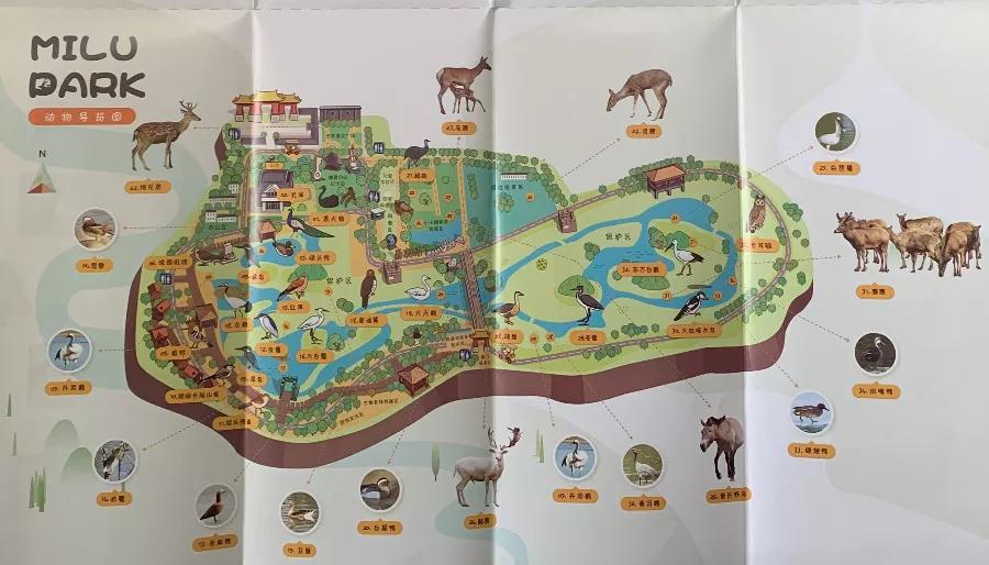 身边的自然现象科普知识,身边的自然规律