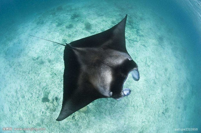 三亚旅游最详细自由行攻略,三亚旅行详细攻略自由行