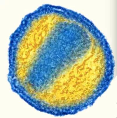 传染病彻底根除要多久,传染病是怎样攻克的