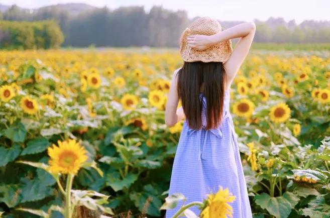 描写夏天的好词好句子简短,描写夏天的古诗词警句