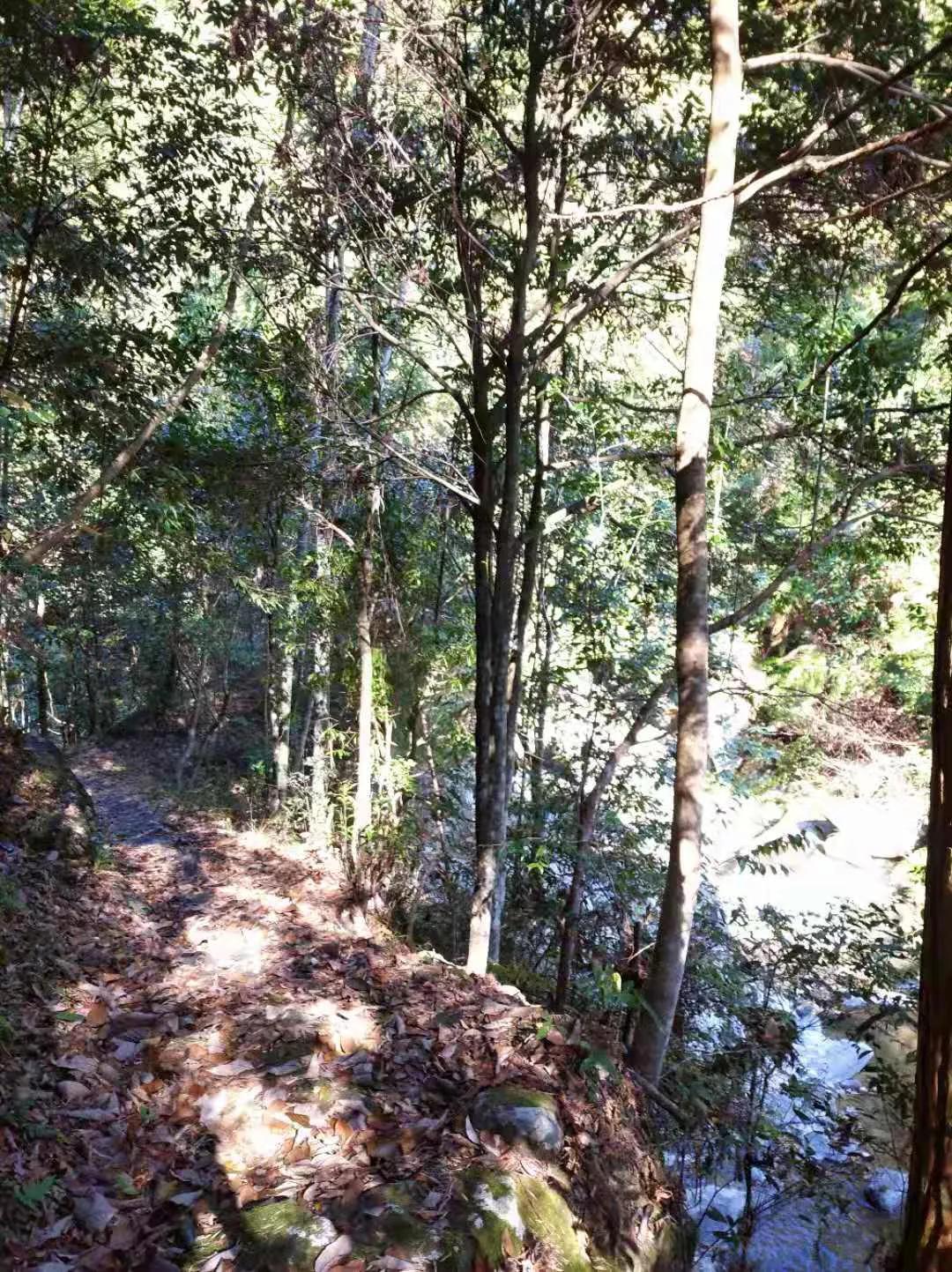 多样化的浙江，浙西南一个安静的小城，龙泉市