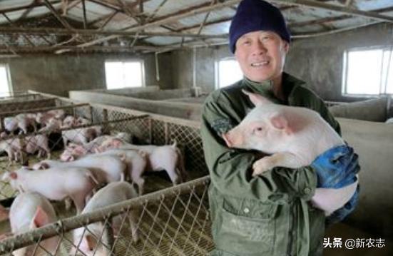 都有什么好项目可以创业,适合穷人养殖的十大养殖项目