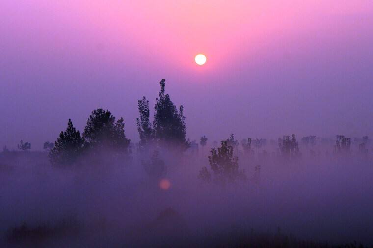 五年级作文即雾即景300字,五年级作文晨雾即景400字范文