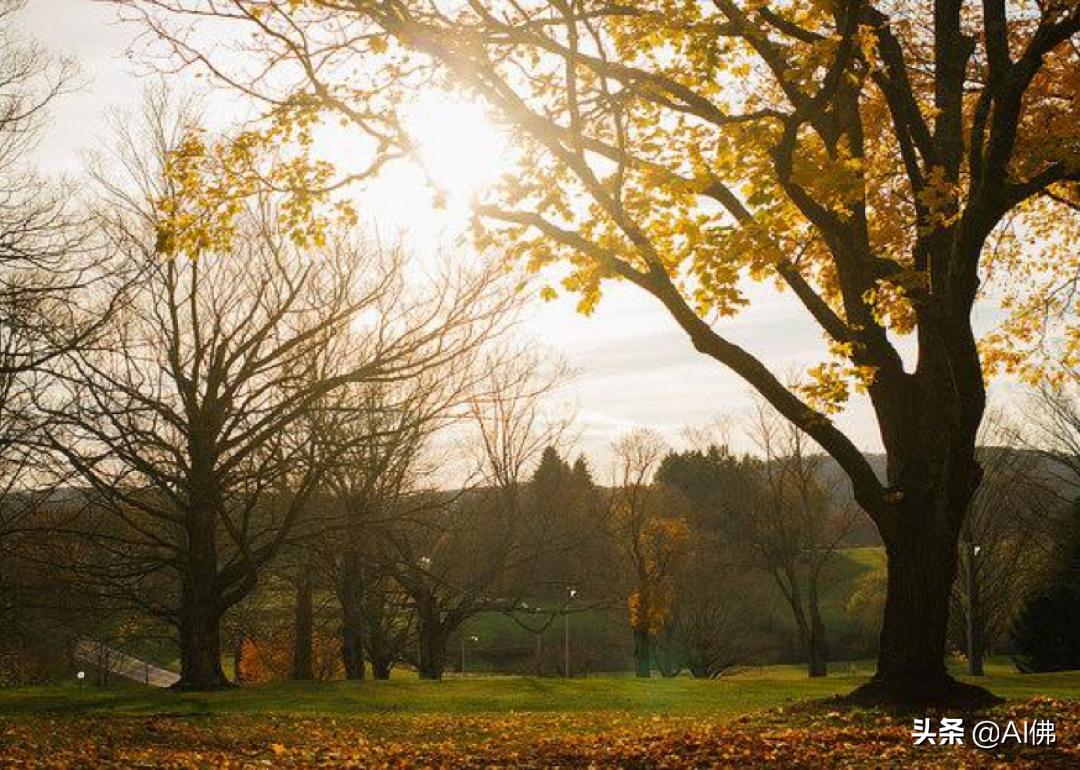 美国康奈尔大学校园风景,美国校园美景