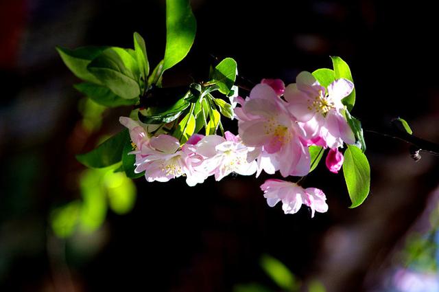 不会来事的人是啥性格,会来事的人是好是坏呢