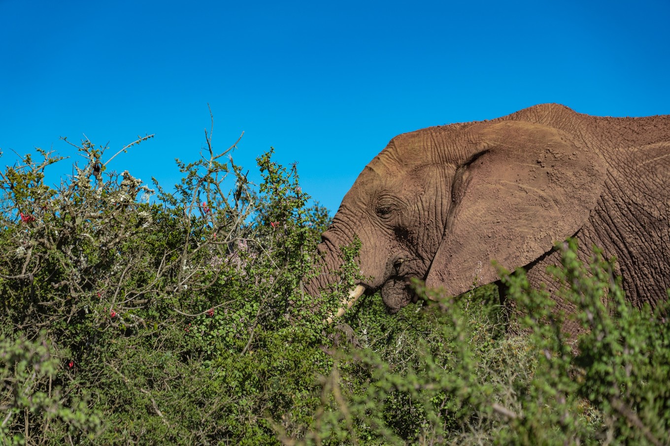 南非自驾游,南非自驾游最新