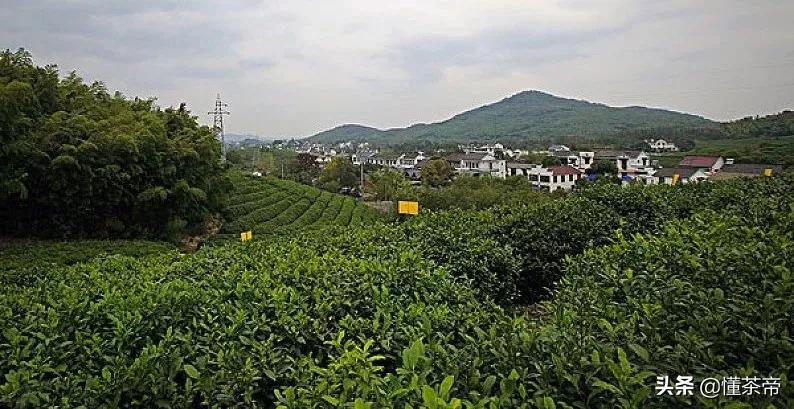 别致茶点，花样紫砂…这个省份真是“苏”到家了