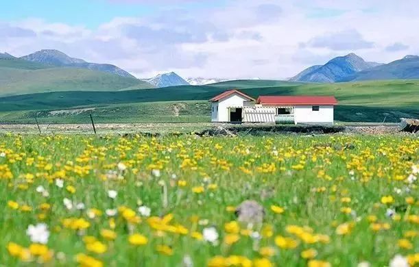 若诗若画若尔盖美景,若诗若画若尔盖文案