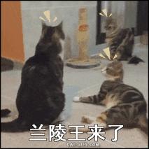 学不好数学就是智商不高吗,学不好数学就是因为不聪明吗