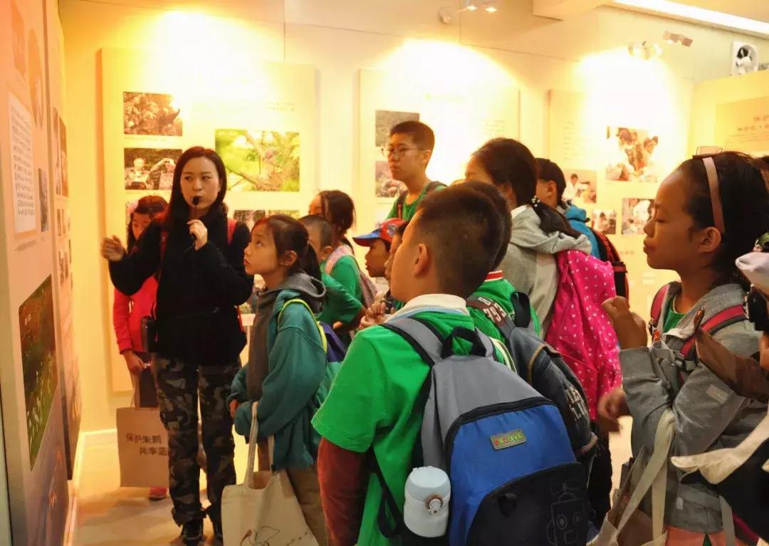 保护朱鹮,朱鹮自然保护区有利条件