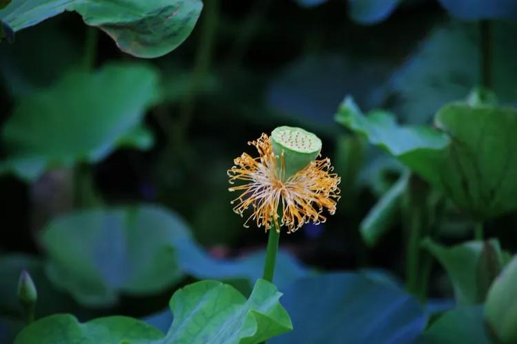 单反快速入门索尼,单反自动挡是哪个