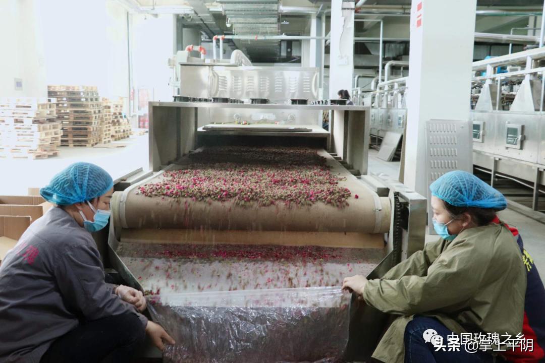 聚焦疫情防控精准复工复产,聚焦转型发展助力复工复产