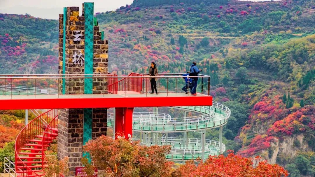 淄博市这个城市好吗,淄博这个城市怎么样