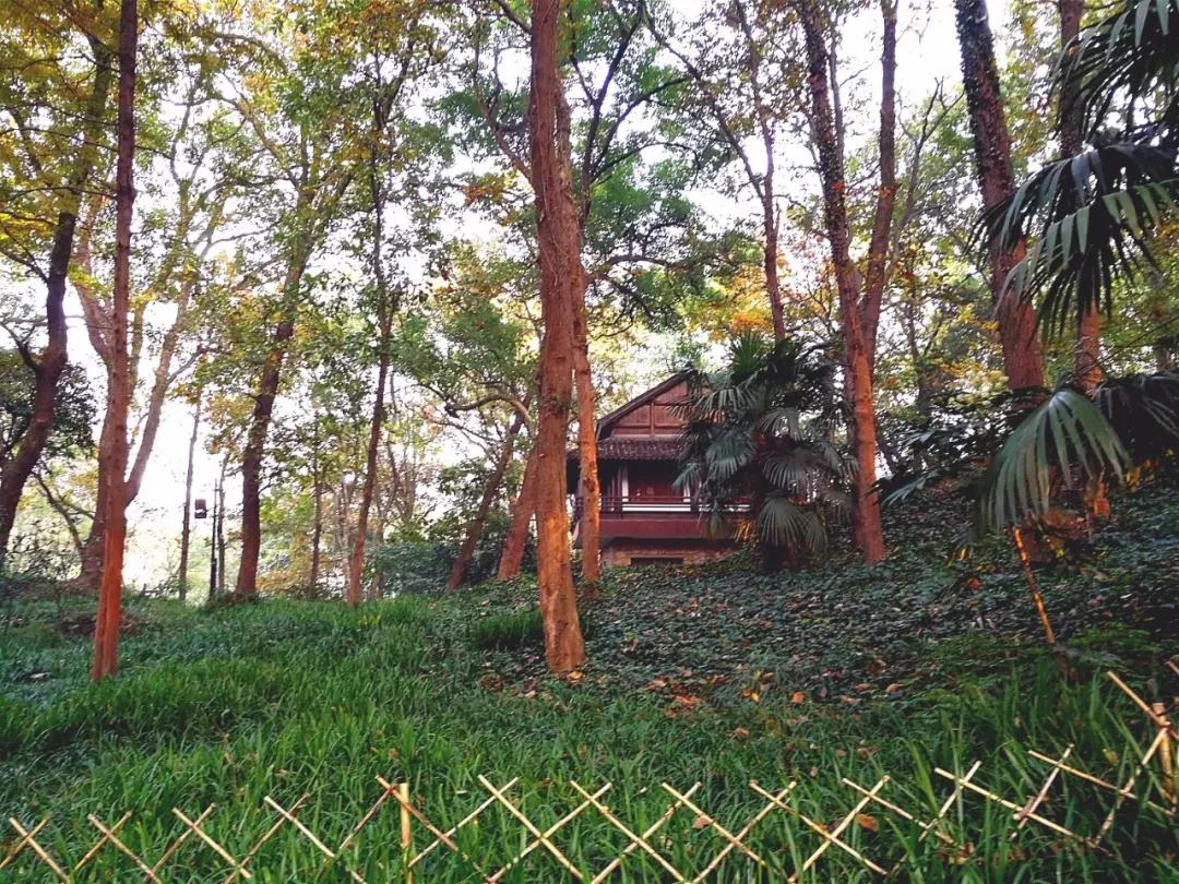 安缦法云民宿,法云安缦让心安静