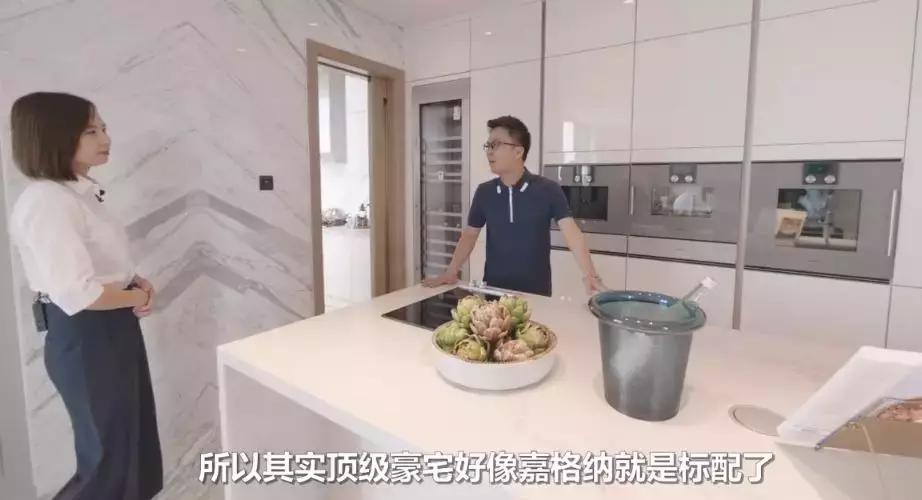 住800亿豪宅是什么体验,住顶级豪宅是一种什么体验