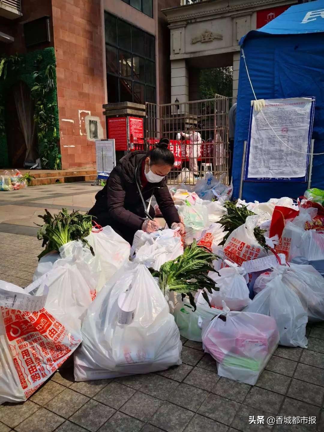 小小志愿者文明大力量,小小志愿者守护城市文明底色