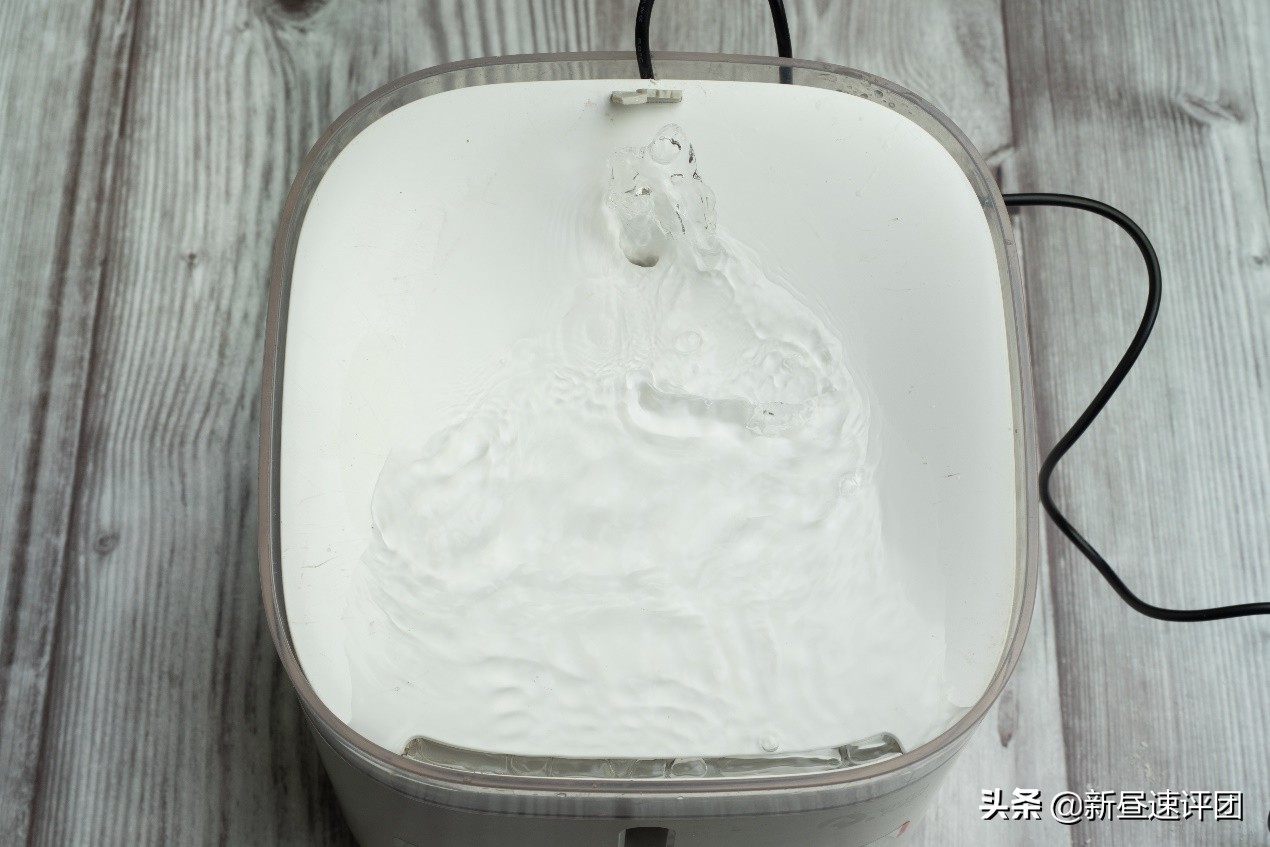 猫咪自动喂水器盖子坏了,猫猫狗狗饮水机无反应