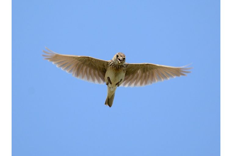 英国男女吵架,英国情侣吵架完整视频