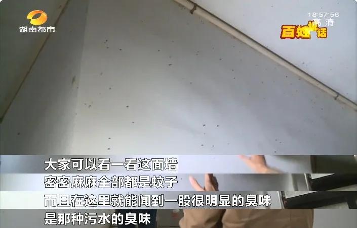 蚊虫、臭味…小区空腔层地下积水超1米！新城国际花都小区业主担心房子安全