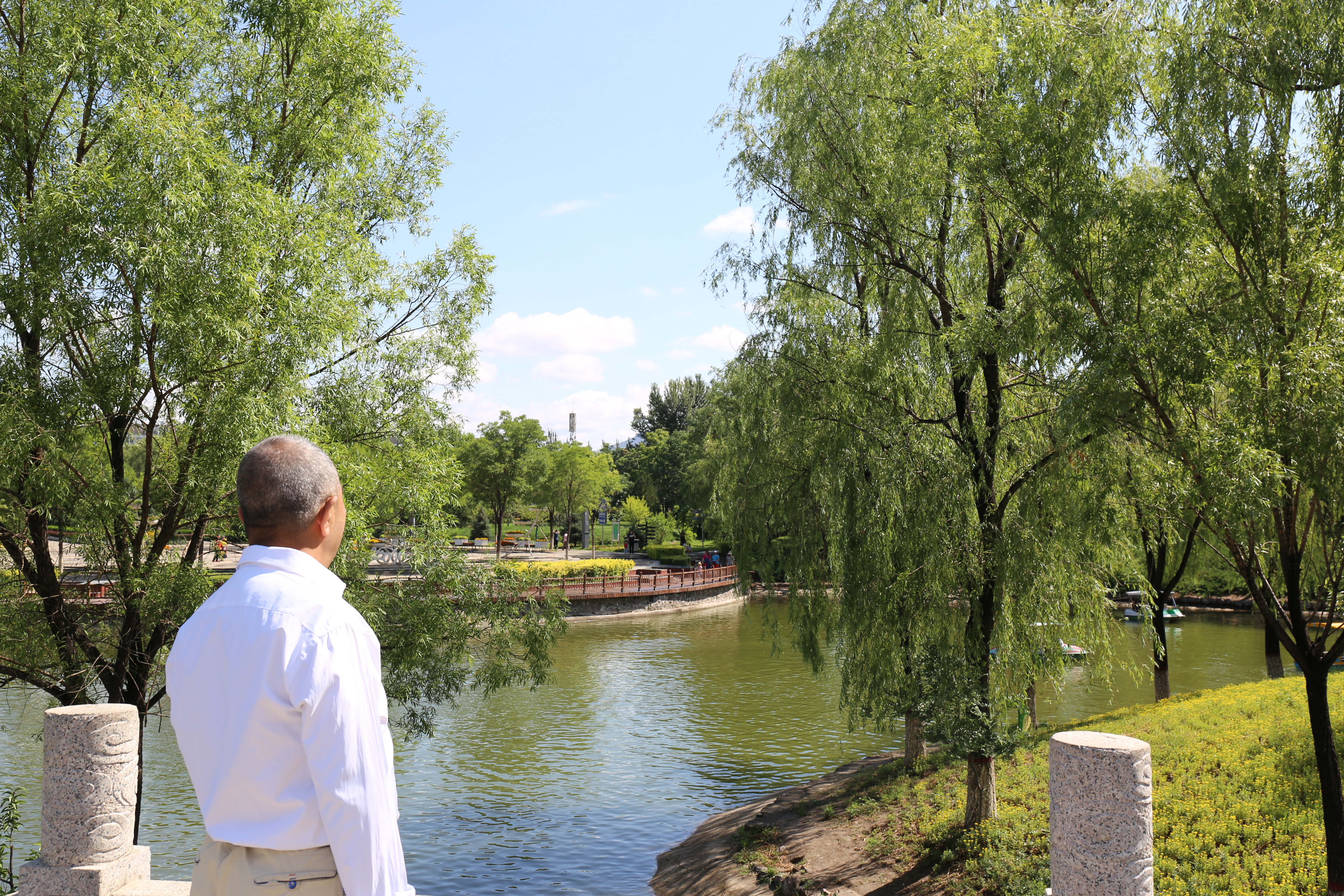 栾祥平出席活动,中医名家针灸治疗视频