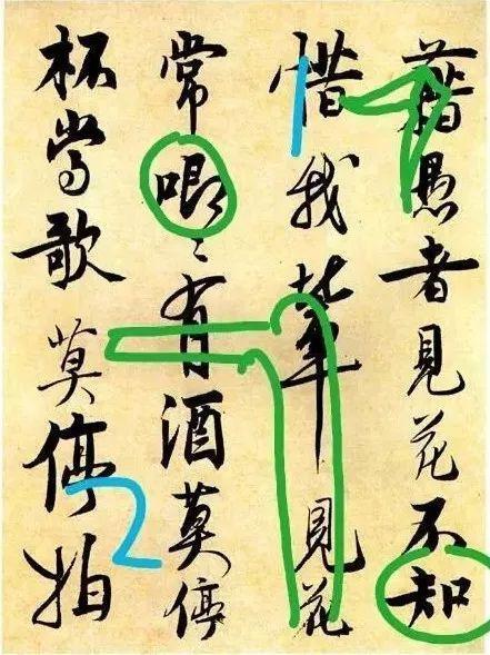 先把基础知识学好,先把基础练好再练技术动作