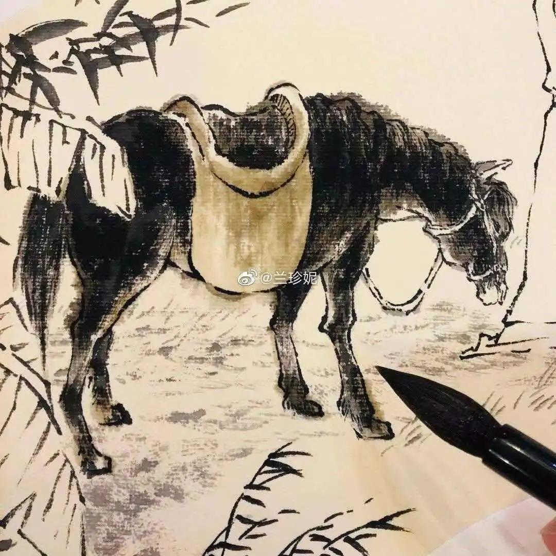 萌翻了手绘34个省级轮廓图,萌翻了姑娘手绘38张奥运冠军漫画