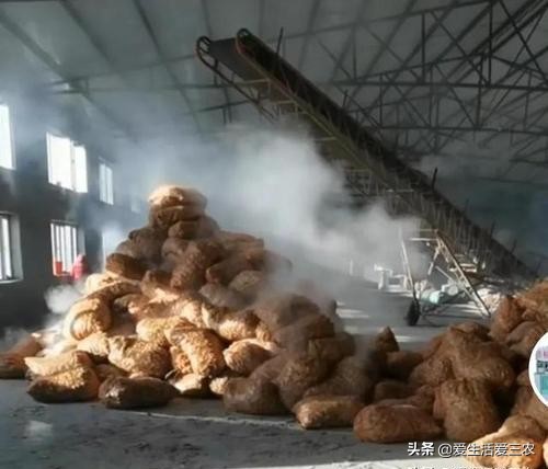 在农村开一家饲料加工厂需要什么,开个宠物饲料加工厂赚钱吗