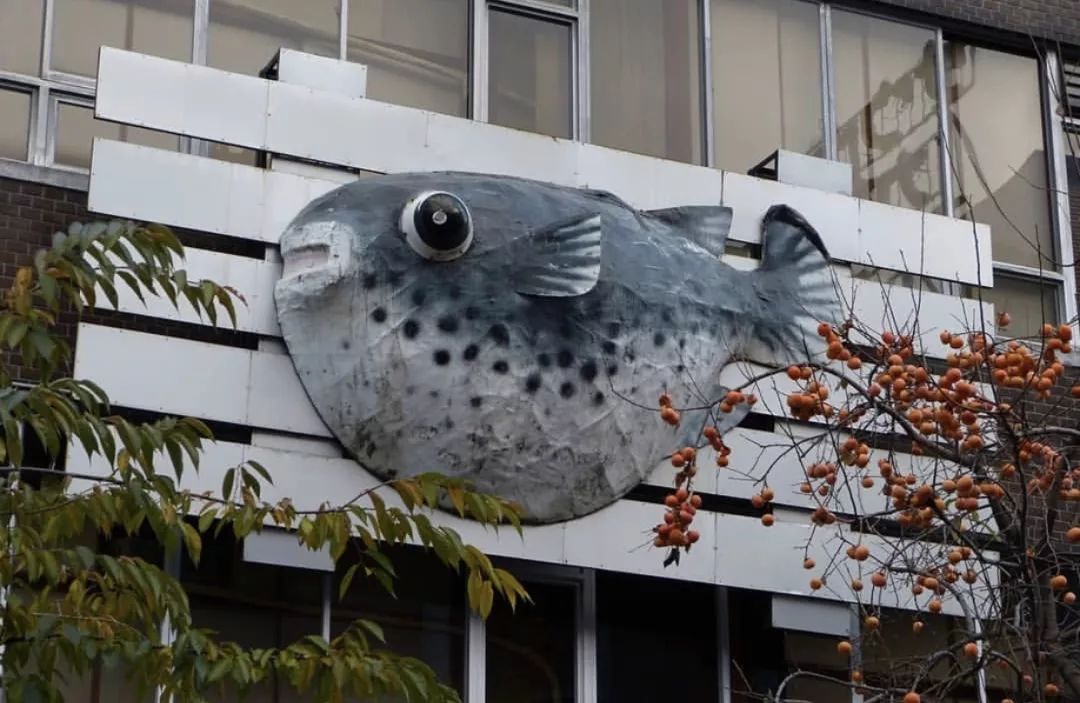 珍味｜吃完这盘料理，才算出生入死过的情侣