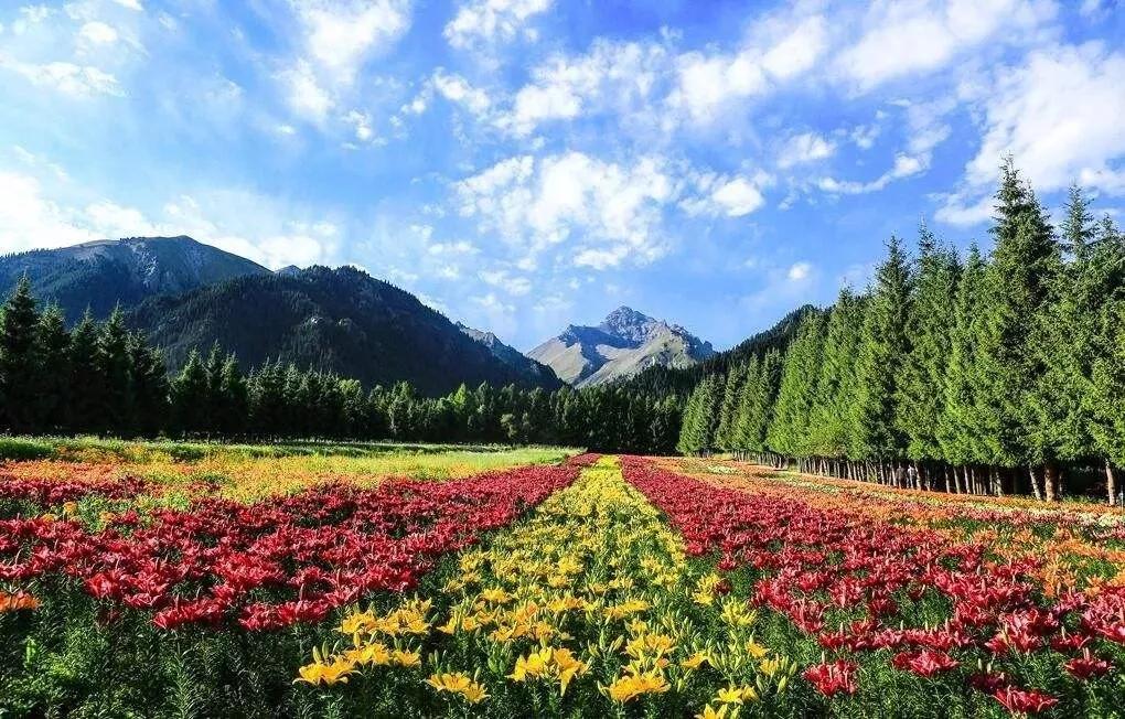 塔城市凉快的公园,塔城地区避暑的地方