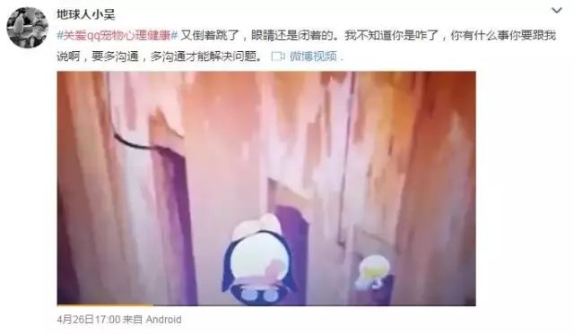 你的宠物死了有多难过,你的宠物还活着吗