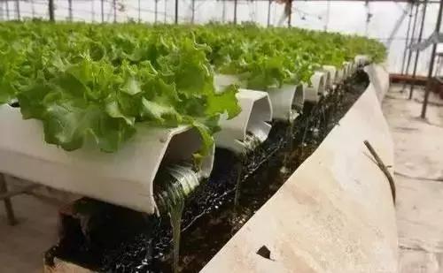 以色列简介解说视频,以色列简介人口面积