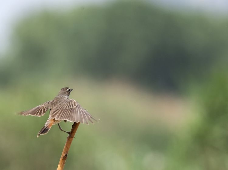 情人岛拍摄地点,情人岛航拍视频