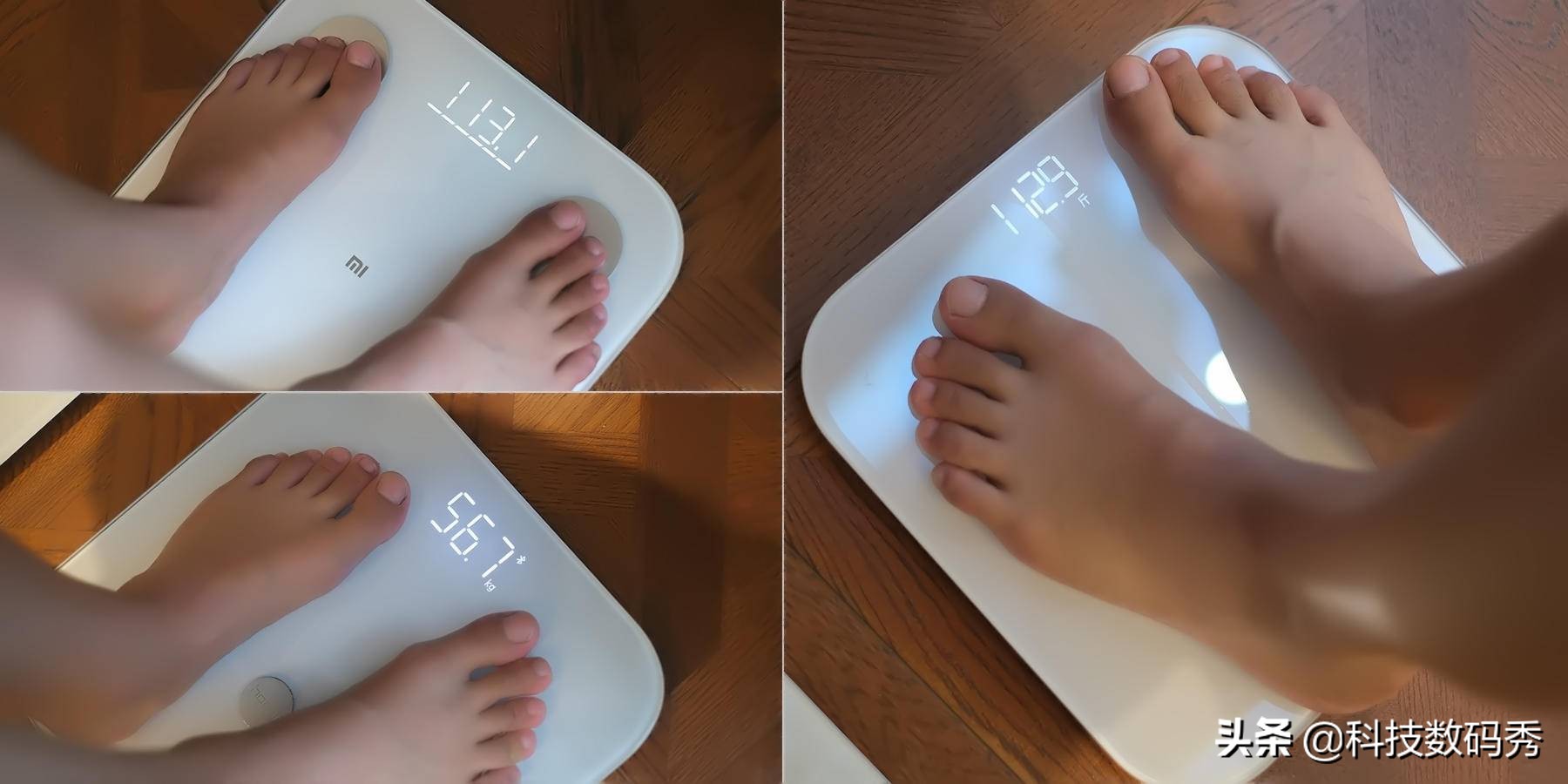 荣耀智能体脂秤十大排行,体脂秤亲测