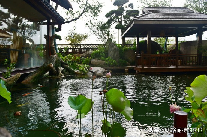这座半山半水的土豪庭院，成了大多数男人的梦想｜花园拜访