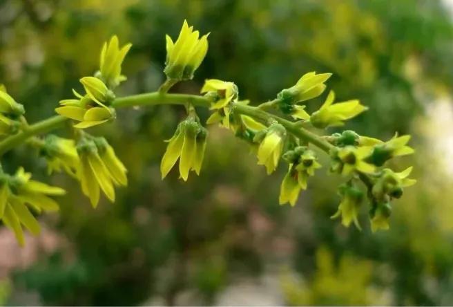 绉嬫棩绗旇鐩存挱,绉嬫棩绗旇