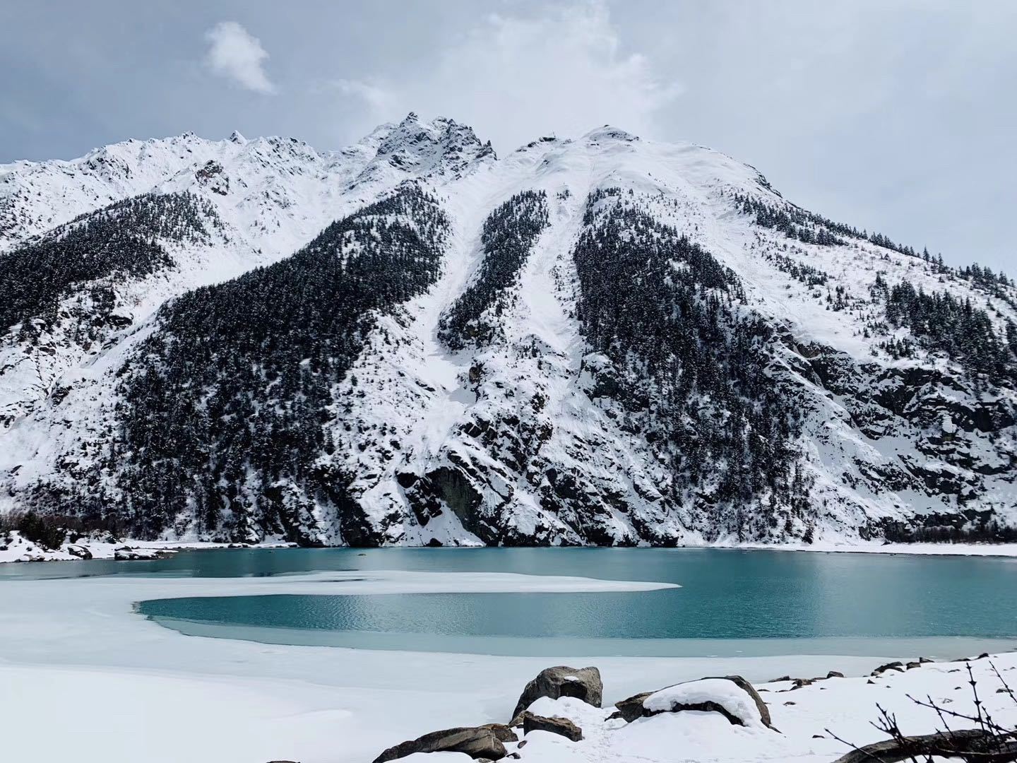 拉萨到成都普拉多托运费用,拉萨丰田普拉多租车多少钱一天