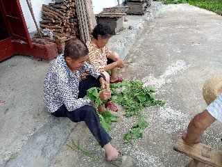藏在深山里的宝藏,藏在大山里的财富