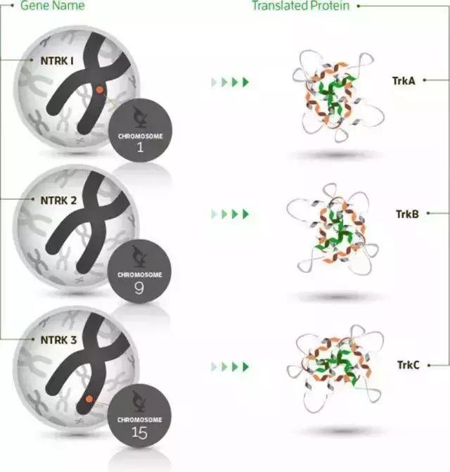 国外最新的抗癌药叫什么名字,美国十大抗癌药物排名