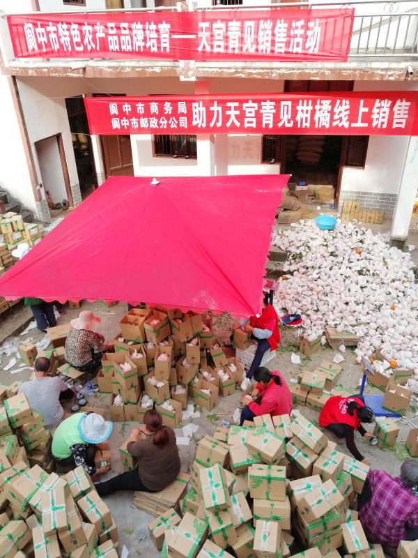 一见青心以书会友,一见青心店铺