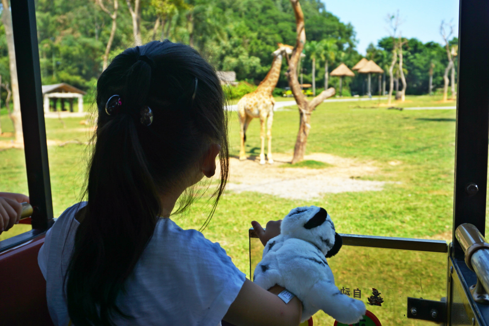 常州恐龙园和珠海长隆哪个好玩,珠海长隆海洋王国好玩吗