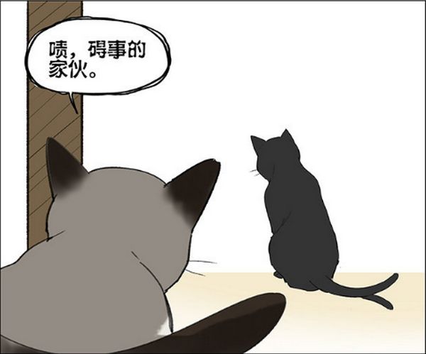 仓鼠的跑步速度有多快,小仓鼠跑步有多快